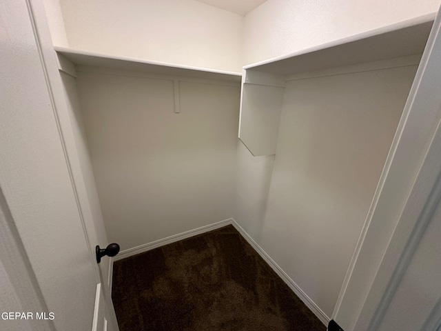 spacious closet with carpet