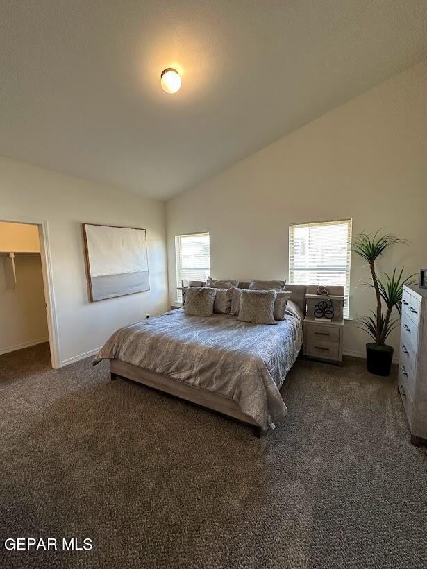 carpeted bedroom featuring multiple windows, a spacious closet, and lofted ceiling