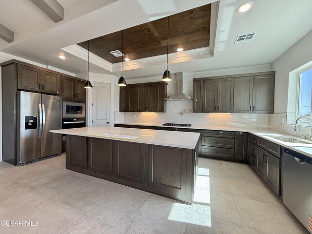 320 Roper Ln, Clint, TX 79836 - kitchen featuring dark brown cabinets, a sink, wall chimney exhaust hood, stainless steel appliances, and a tray ceiling