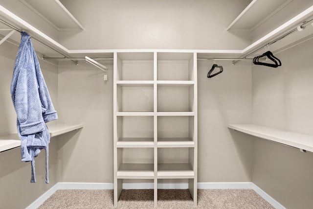 spacious closet with light colored carpet