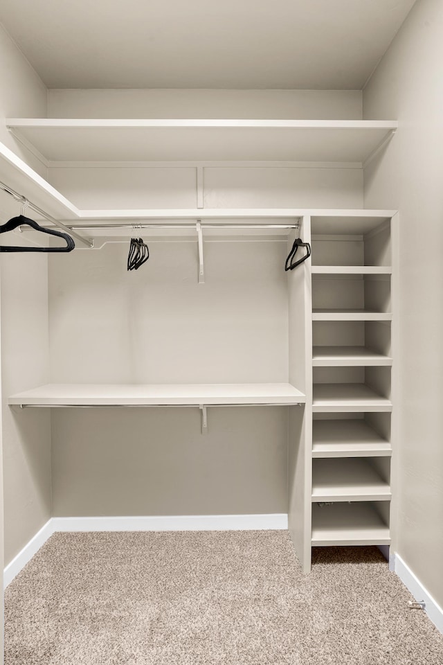 walk in closet with light colored carpet