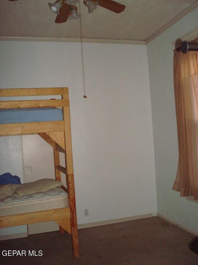 1009 N Florence St, El Paso, TX 79902 - photo 11
