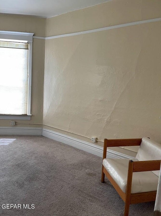 1009 N Florence St, El Paso, TX 79902 - photo 28