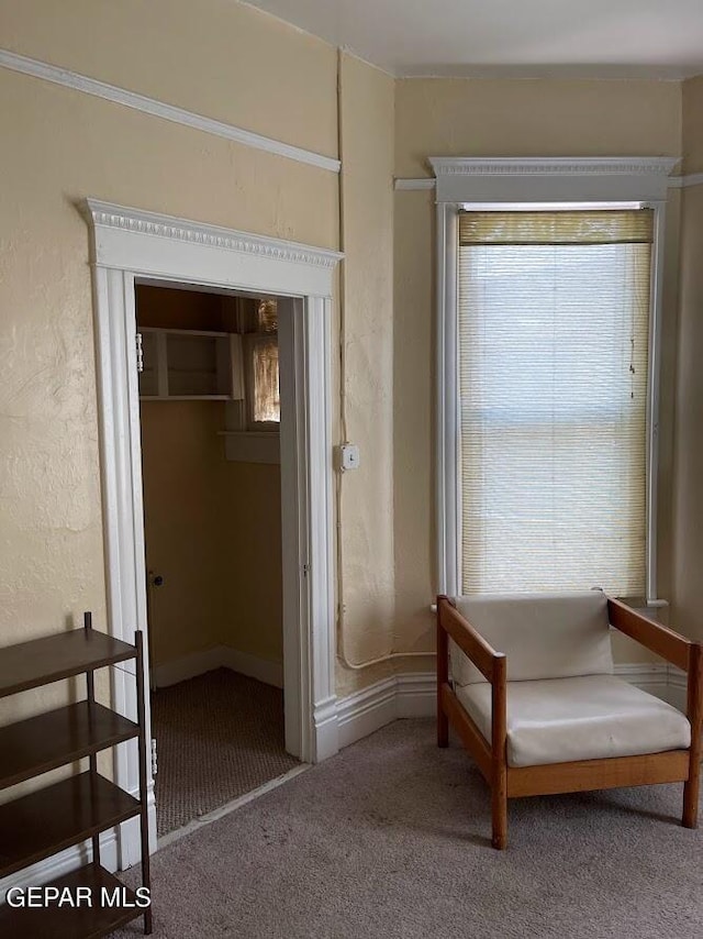 1009 N Florence St, El Paso, TX 79902 - photo 30