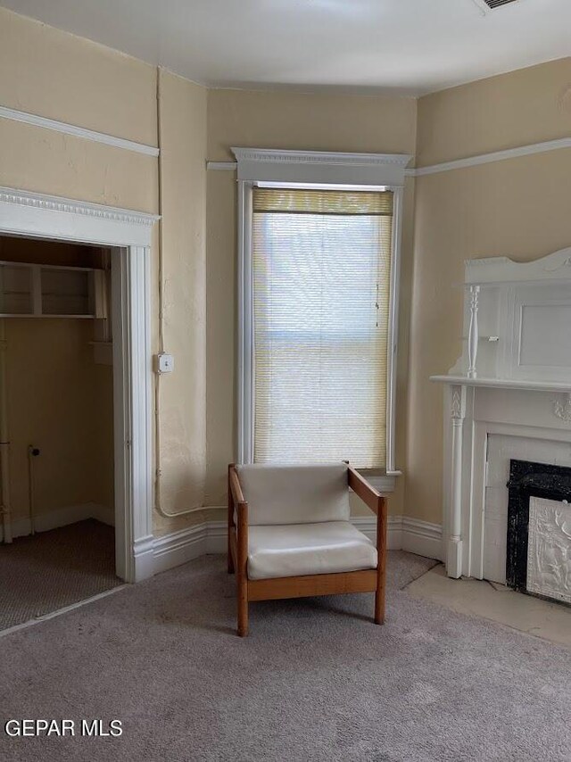 1009 N Florence St, El Paso, TX 79902 - photo 32