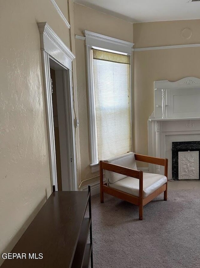 1009 N Florence St, El Paso, TX 79902 - photo 43
