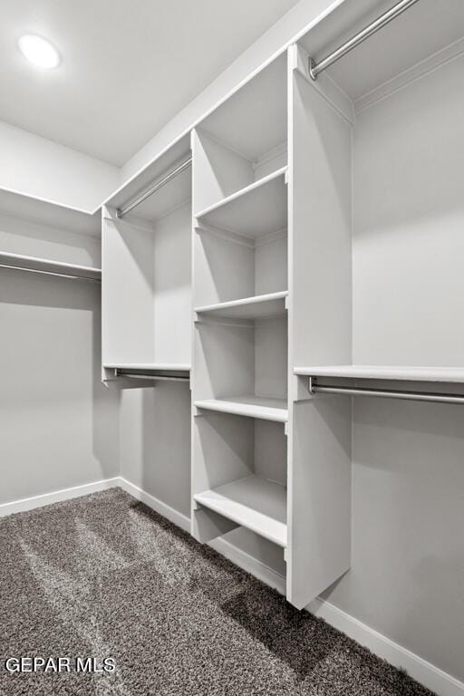 spacious closet with carpet flooring