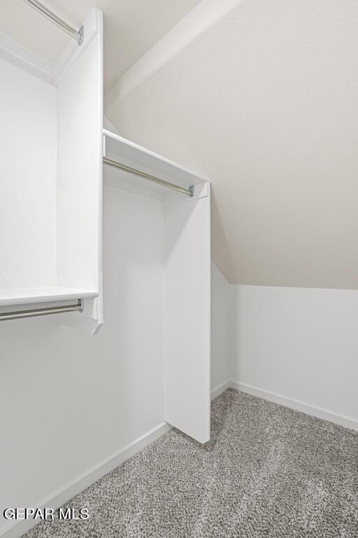 walk in closet featuring lofted ceiling and carpet flooring