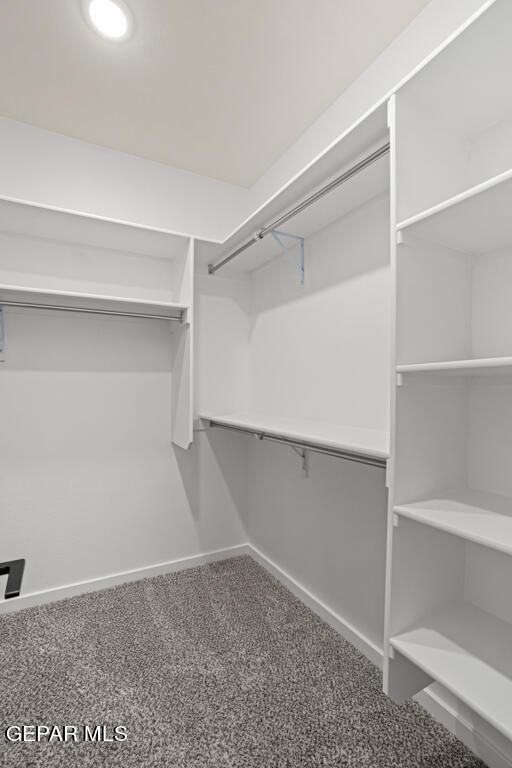 spacious closet with carpet