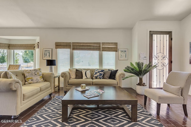 living room featuring dark hardwood / wood-style floors