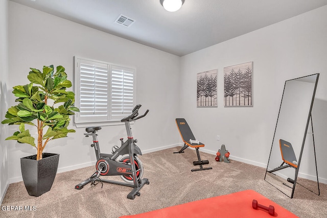 exercise room featuring carpet, baseboards, and visible vents