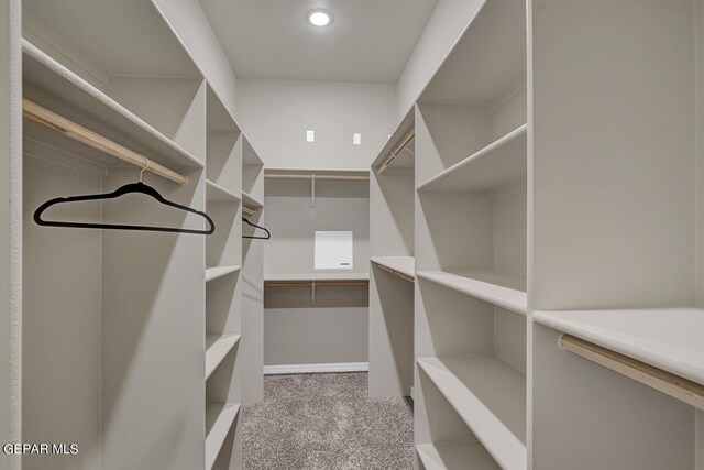 spacious closet with dark colored carpet