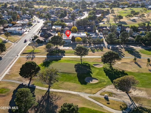 bird's eye view
