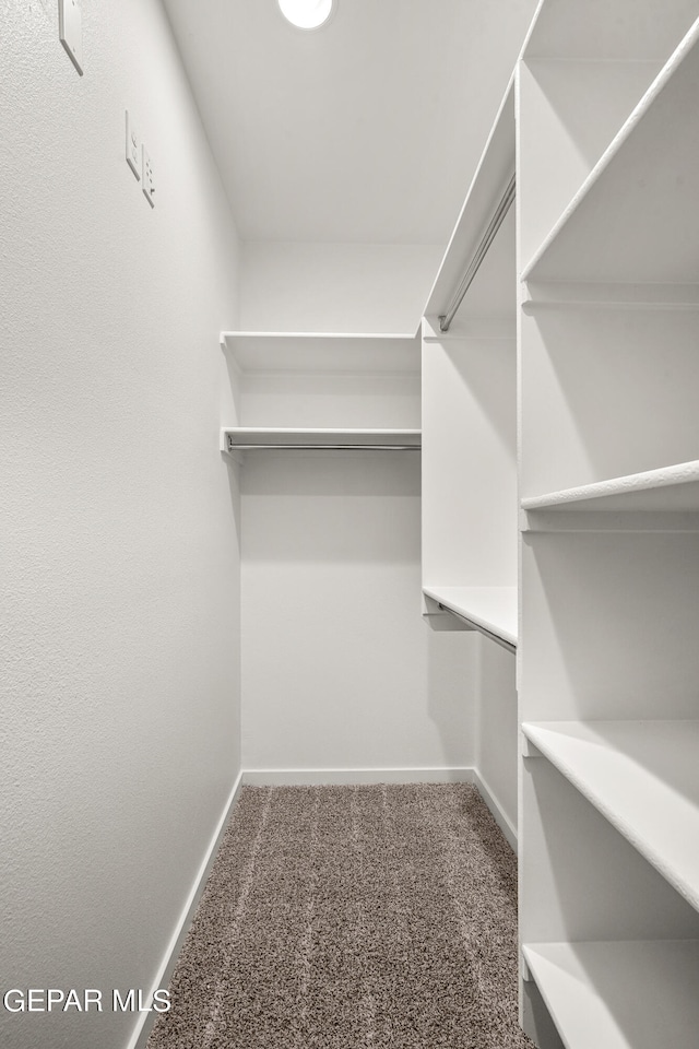 walk in closet with carpet