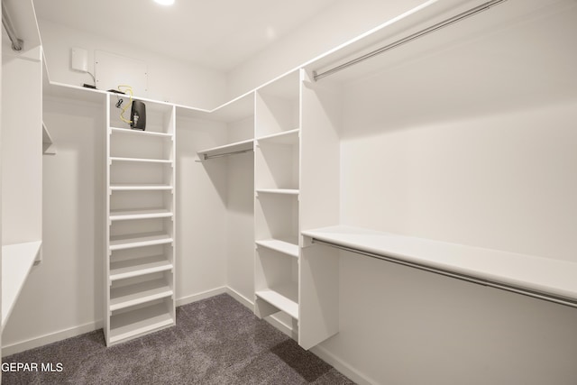 spacious closet with dark colored carpet