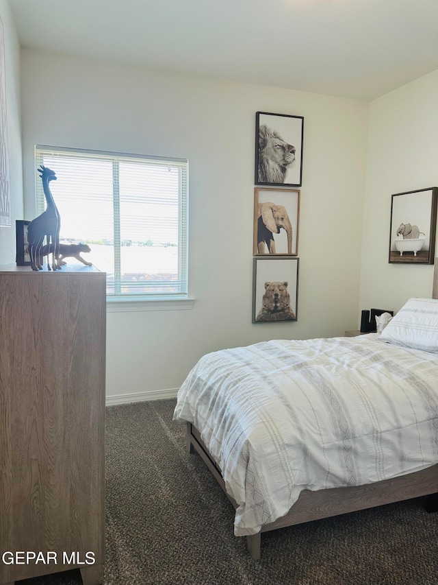 bedroom with dark carpet