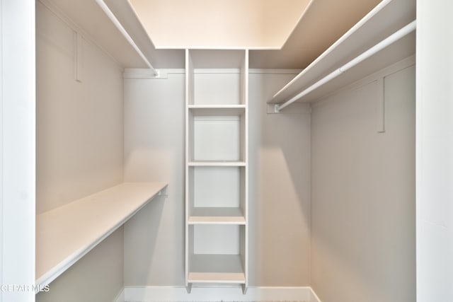 view of spacious closet