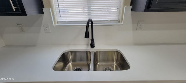 interior details featuring sink