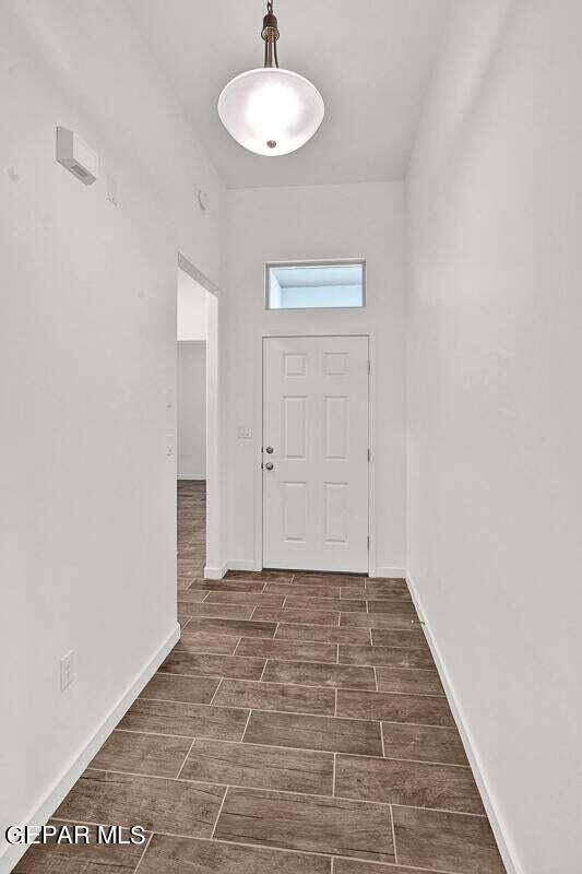 entrance foyer featuring dark hardwood / wood-style flooring