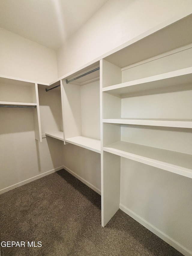 spacious closet featuring dark carpet
