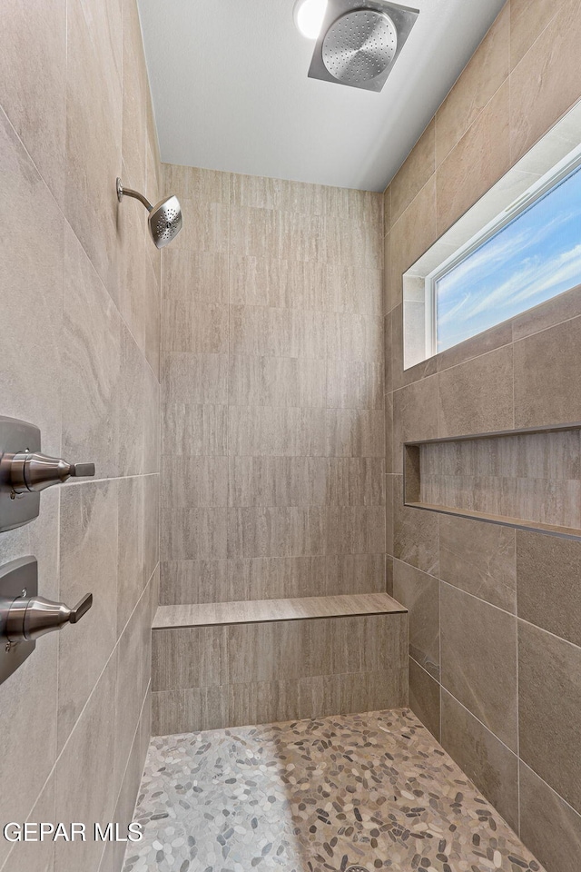 1848 Cimarron Park Dr, El Paso, TX 79911 - bathroom featuring tiled shower