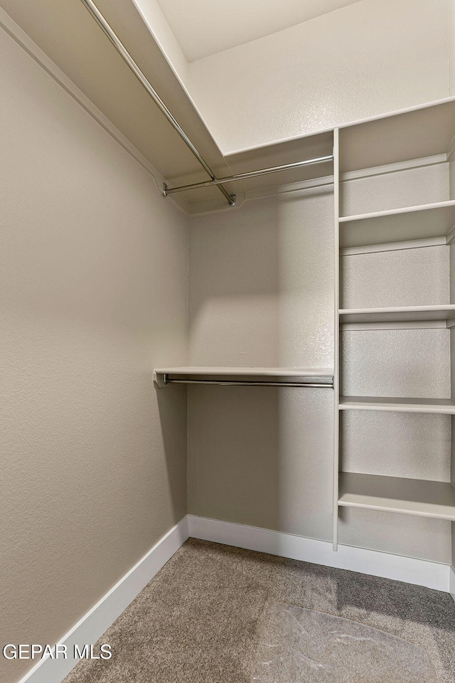 1848 Cimarron Park Dr, El Paso, TX 79911 - walk in closet featuring carpet floors