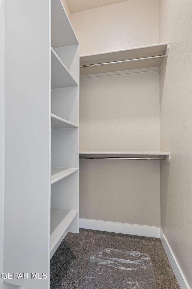 1848 Cimarron Park Dr, El Paso, TX 79911 - spacious closet with carpet floors