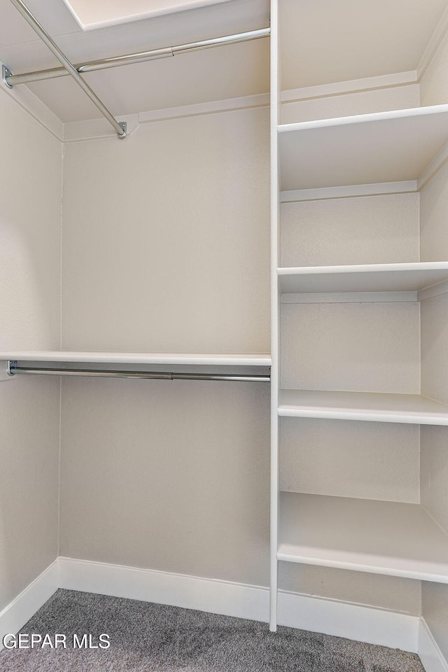 1848 Cimarron Park Dr, El Paso, TX 79911 - spacious closet with carpet