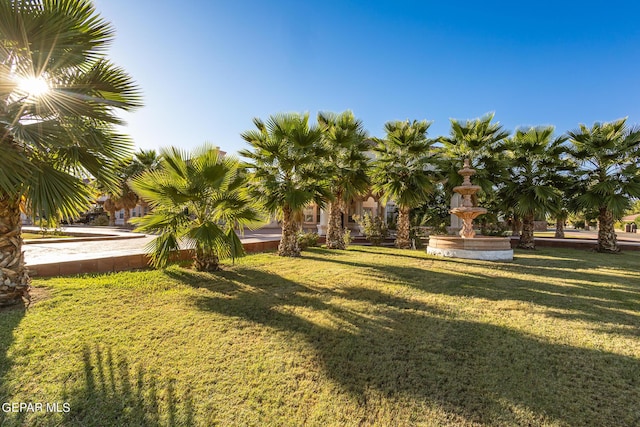 18 Via Placita, El Paso, TX 79927 - view of grassy yard