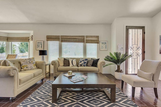 living room with dark hardwood / wood-style floors