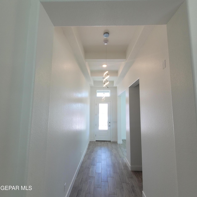 entryway with dark hardwood / wood-style floors