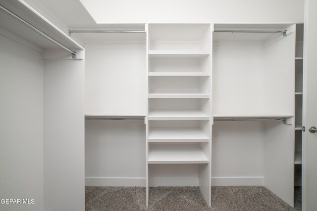 walk in closet featuring carpet floors