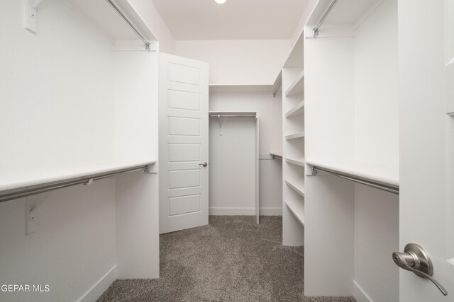 walk in closet with dark colored carpet