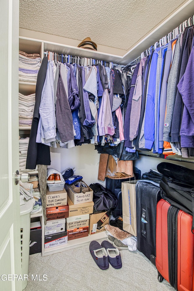 walk in closet featuring carpet