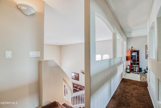 hallway with carpet floors