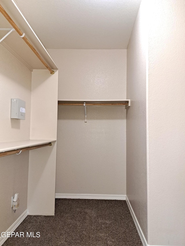 walk in closet with dark carpet