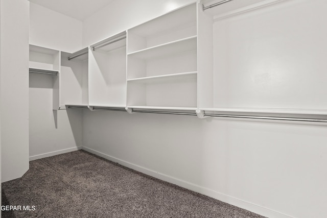 walk in closet with dark colored carpet