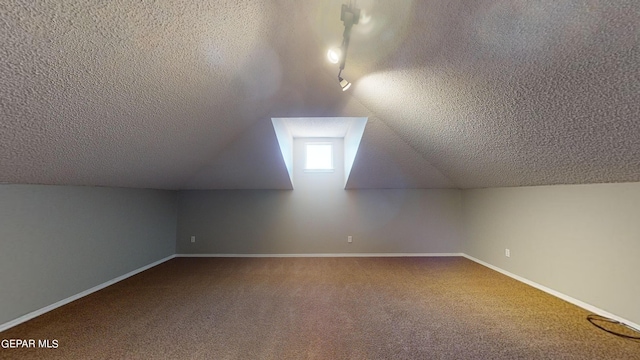 additional living space with carpet, a textured ceiling, and lofted ceiling