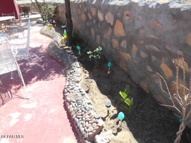 view of yard featuring a patio area