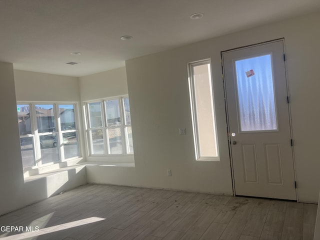 foyer featuring a wealth of natural light and light wood-type flooring