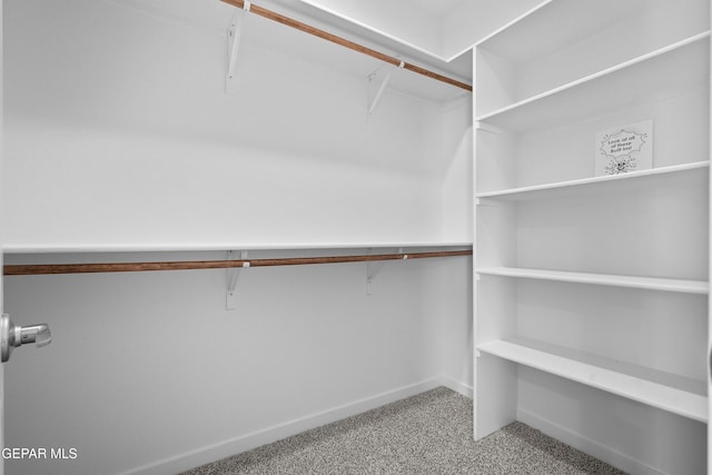 spacious closet with carpet floors