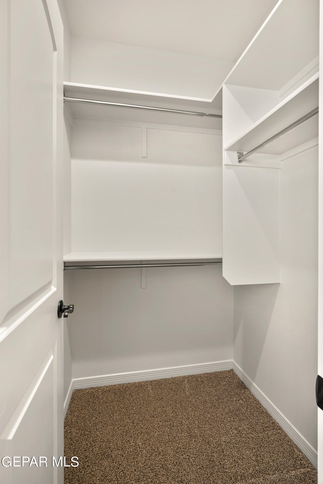 walk in closet featuring carpet