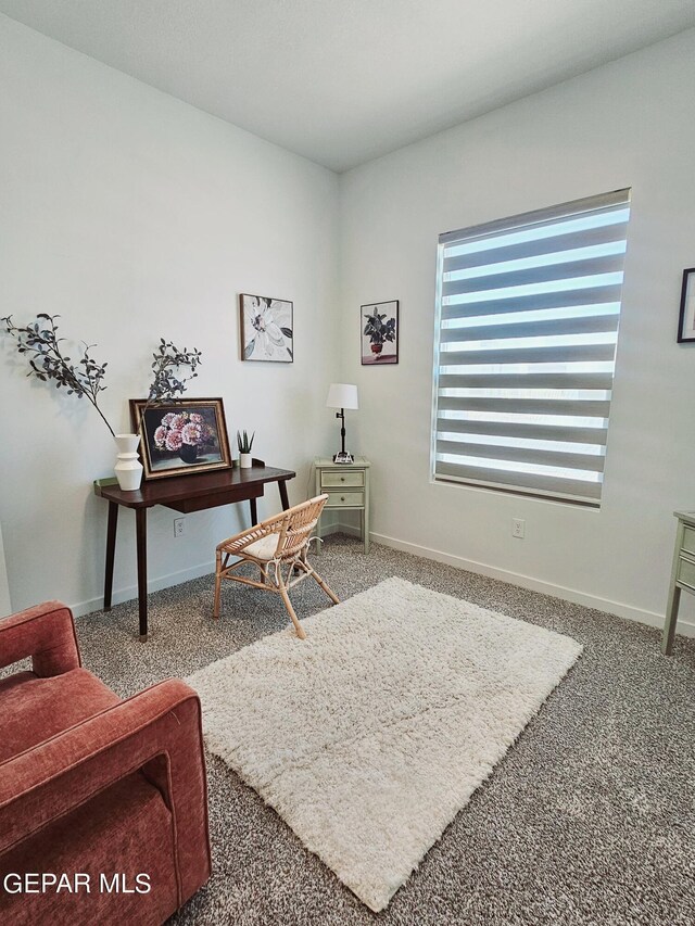 13408 Highworth Dr, Horizon City, TX 79928 - photo 16