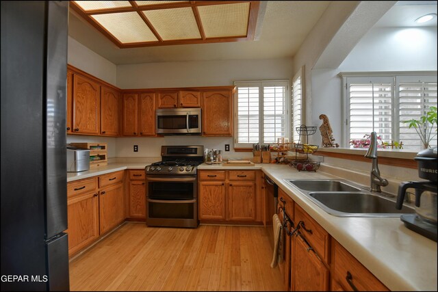 kitchen featuring sink, plenty of natural light, light wood-type flooring, and stainless steel appliances