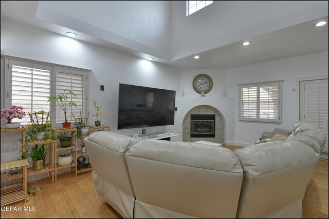 living room with a fireplace, light hardwood / wood-style floors, a high ceiling, and plenty of natural light