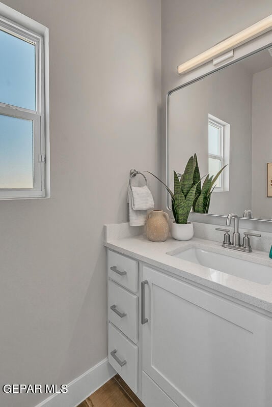 bathroom featuring hardwood / wood-style flooring and large vanity