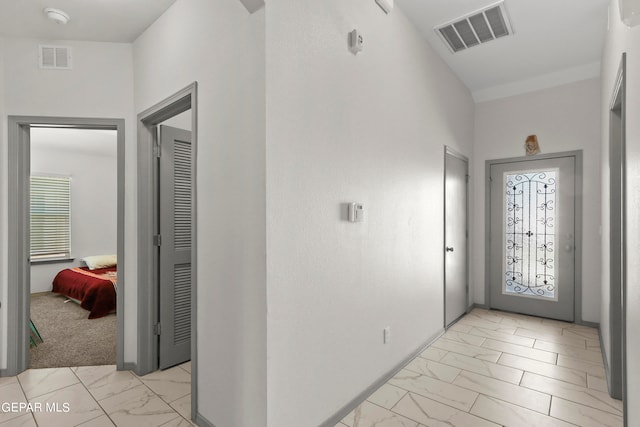 carpeted foyer entrance with a wealth of natural light