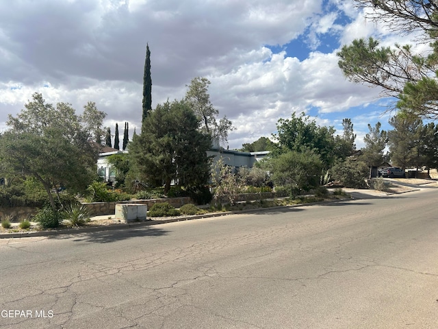 view of street featuring curbs