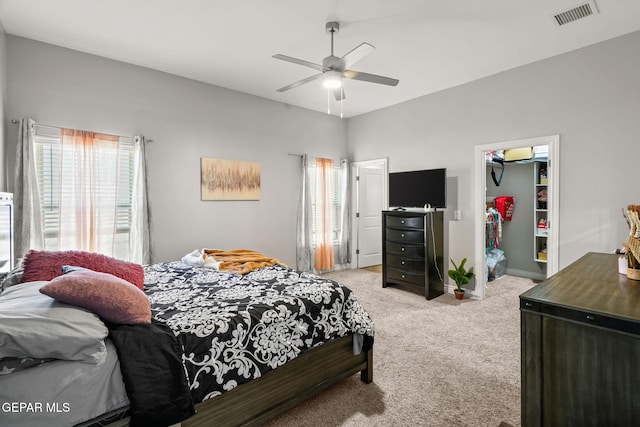 carpeted bedroom featuring a walk in closet, a closet, and ceiling fan