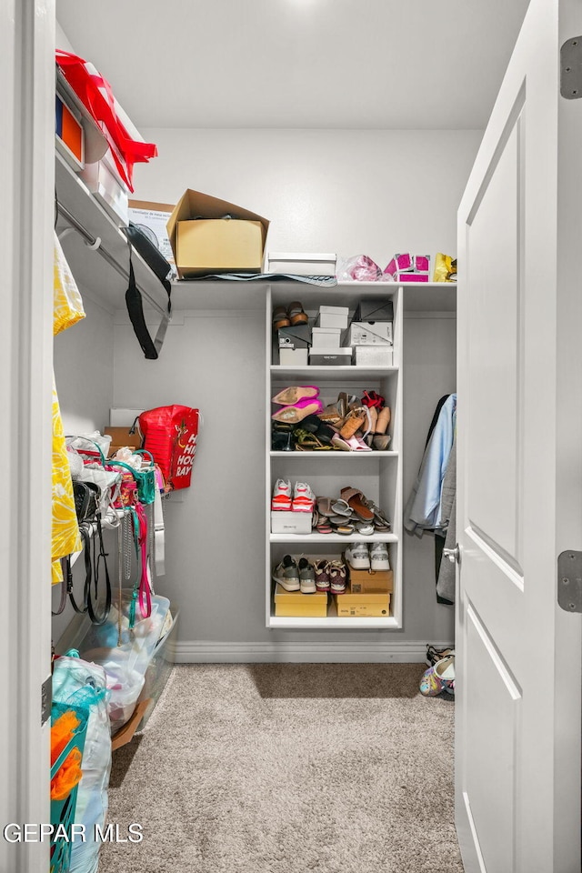 spacious closet with carpet floors